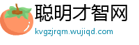 聪明才智网